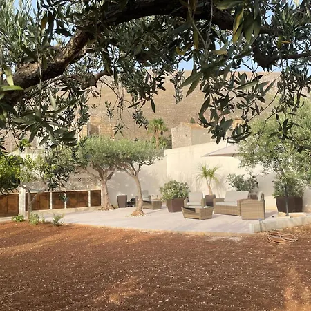 Olea-3